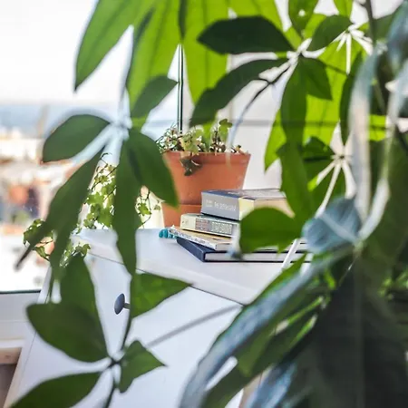 Graca Amazing River Views *