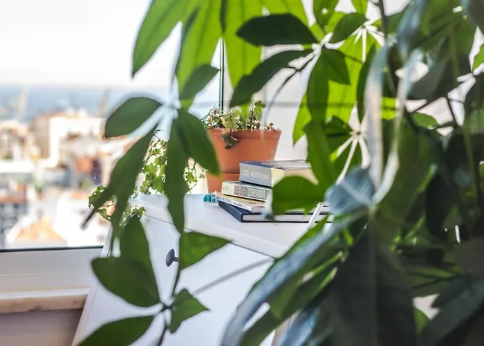 Graca Amazing River Views *