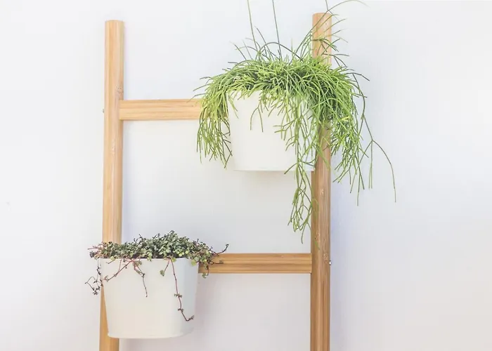 Graca Amazing River Views