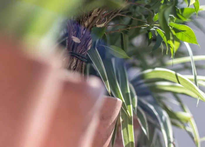 Graca Amazing River Views Διαμέρισμα