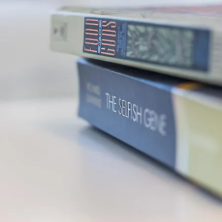 Graca Amazing River Views Appartement