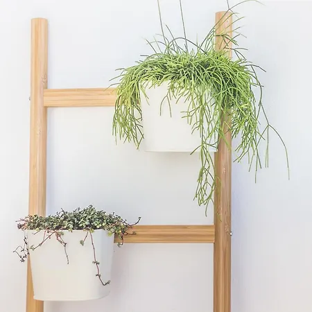 Graca Amazing River Views