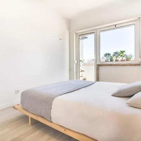 Graca Amazing River Views *