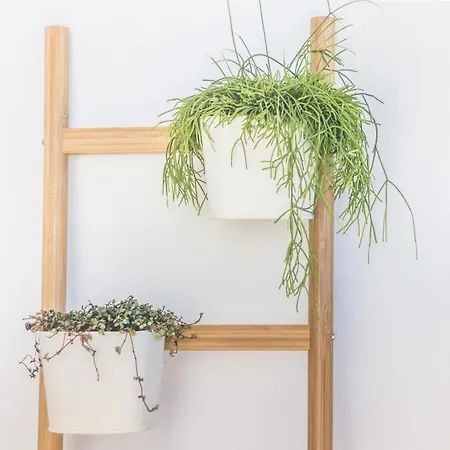 Graca Amazing River Views