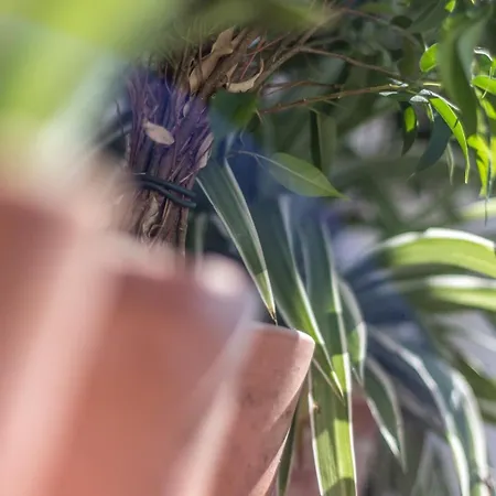 Graca Amazing River Views Appartamento